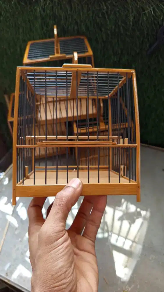 Kandang untulan full bambu