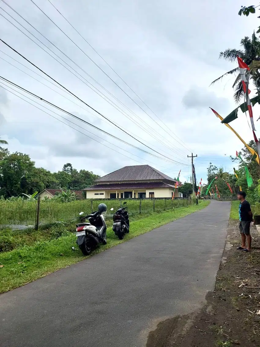 Tanah Sawah Apik di Area Sejuk Hargobinangun Pakem
