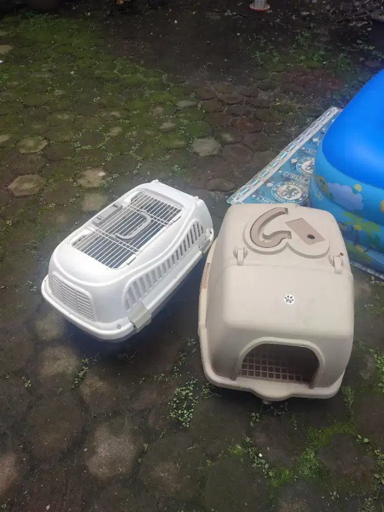 Pet cargo dan litter box jumbo