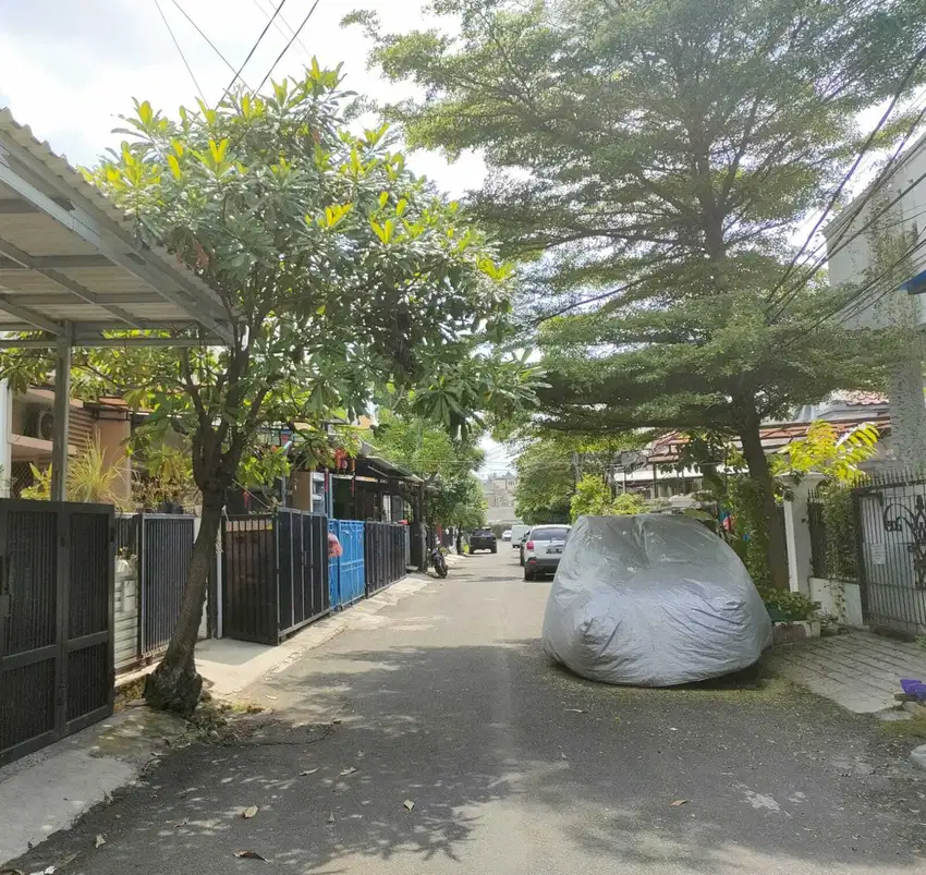 BEBAS RAYAP .Rumah dijual di Taman Semanan Indah
