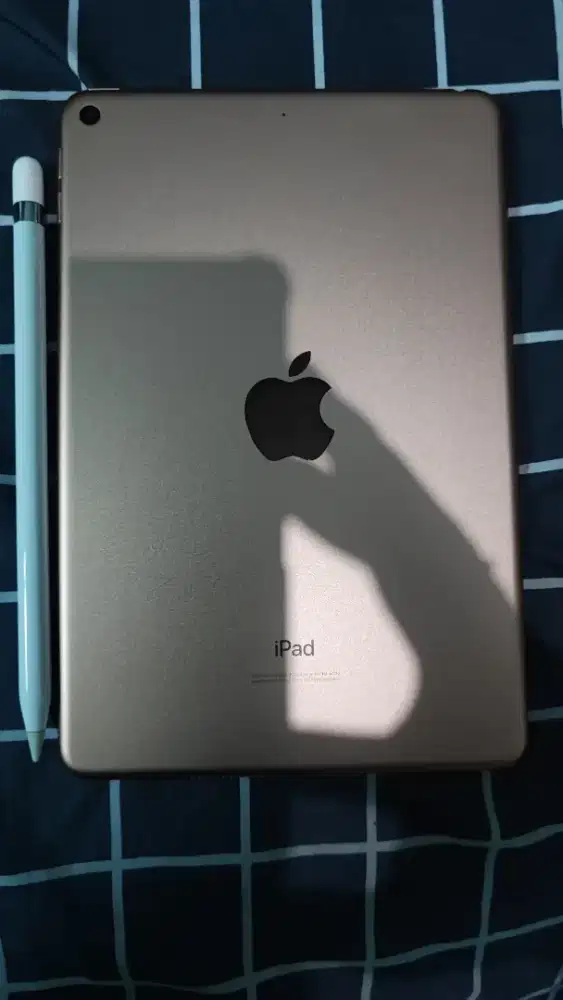 iPad Mini 5 64GB Wifi Only dan Apple Pencil Gen 1 Mulus 99%