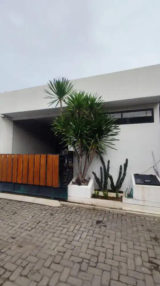 Murah dijual rumah mewah 2 lantai semarang timur pedurungan woltermong