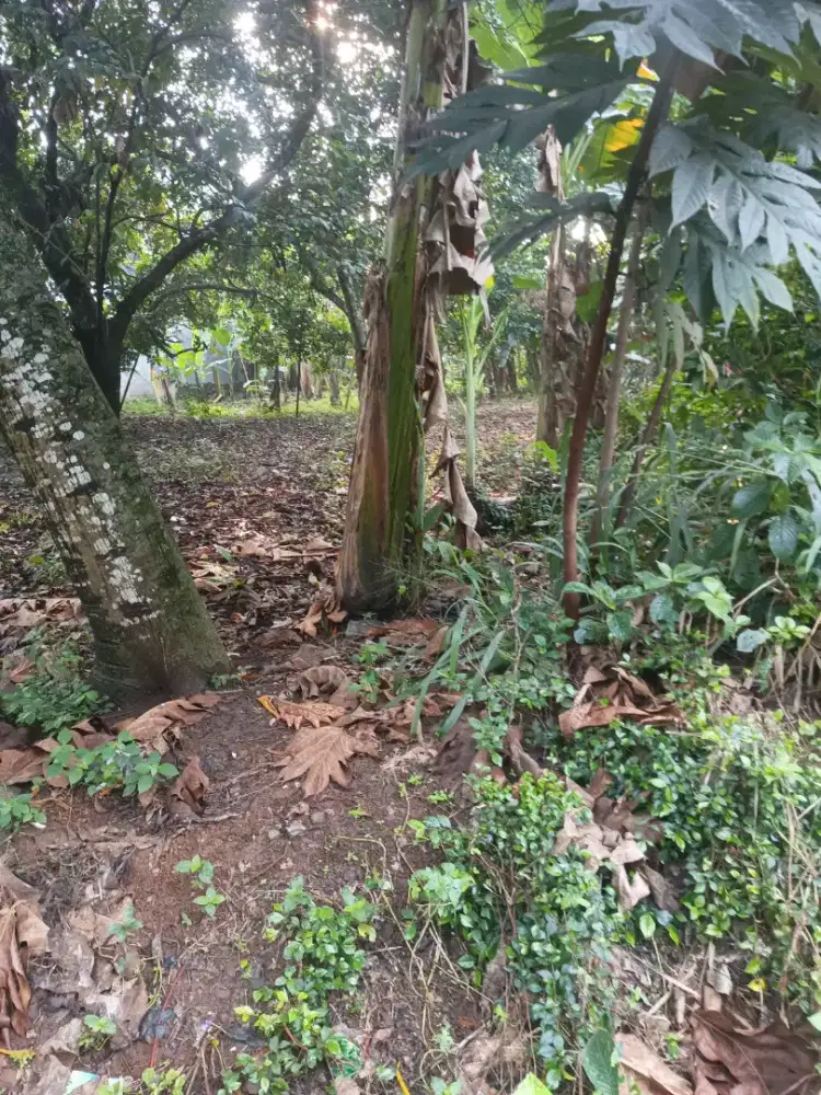 Jual cepat lahan 1000 m