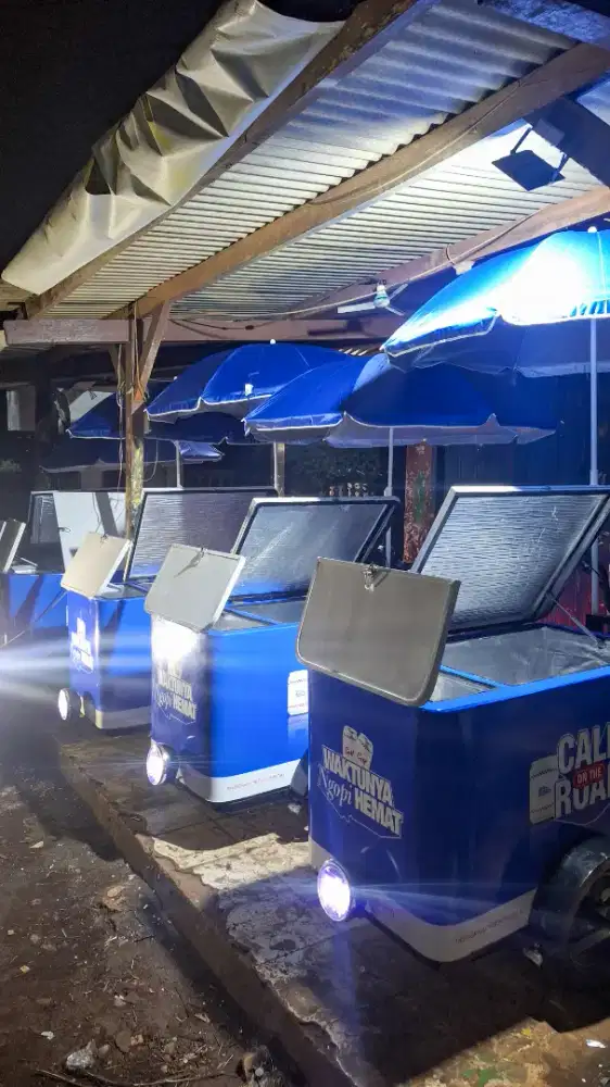 GEROBAK SEPEDA LISTRIK/SEPEDA LISTRIK GEROBAK MURAH/SEPEDA LISTRIK