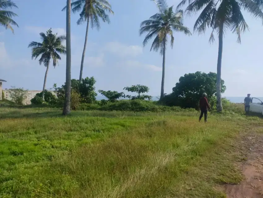 Tanah Pinggir Pantai Carita-Anyer