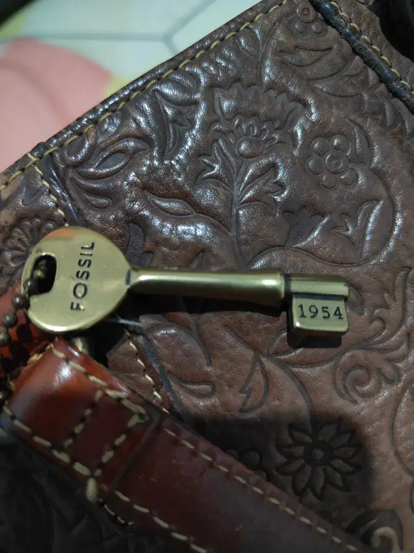Tas fossil original