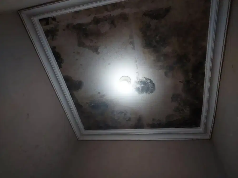 Perbaikan kebocoran bangunan rumah bergaransi