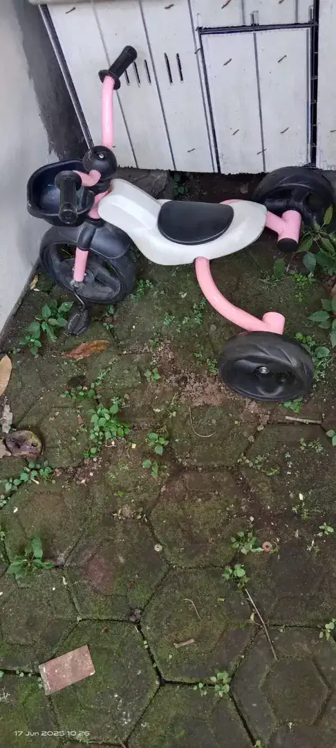 Sepeda Anak muluss murmerrr