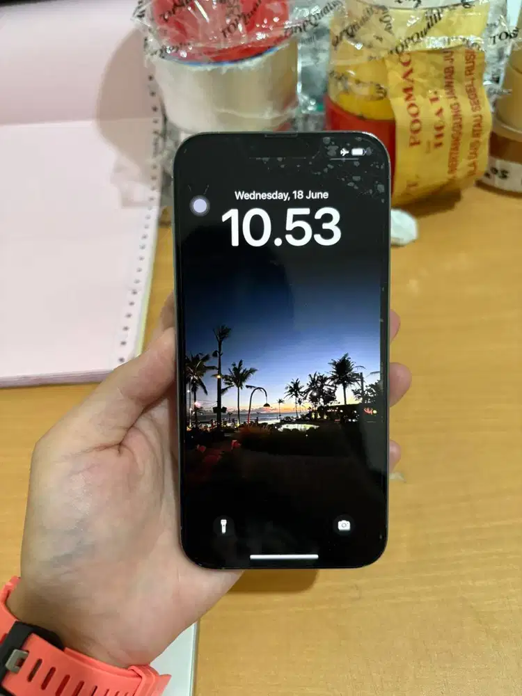 Iphone 13 Pro Max - 256 GB, Item dan Dus only