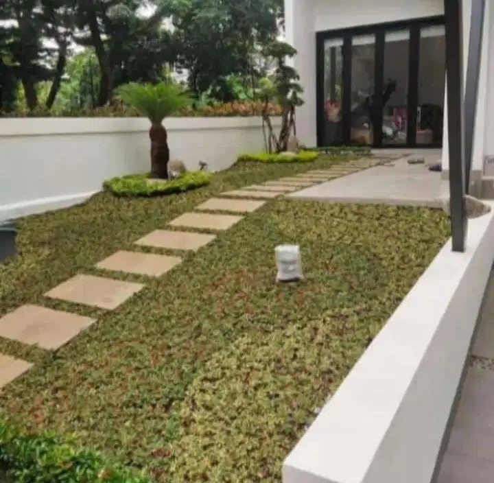 Mnrima dkorasi taman rumput