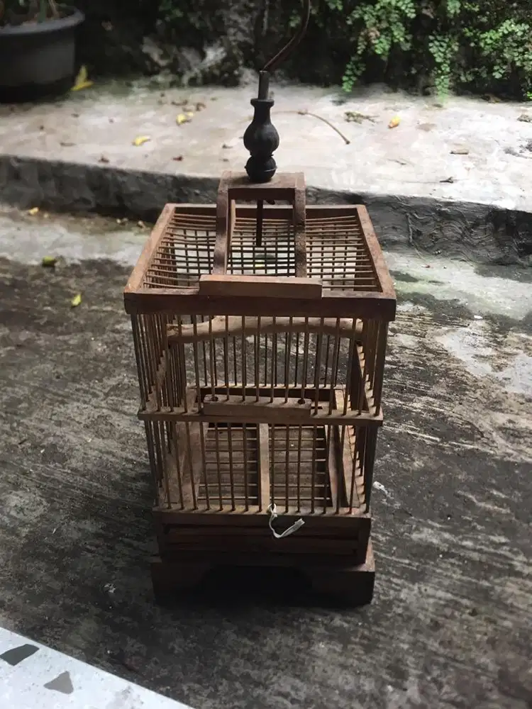 Kandang untulan pleci kecil minat wa aja kondisi aman normal