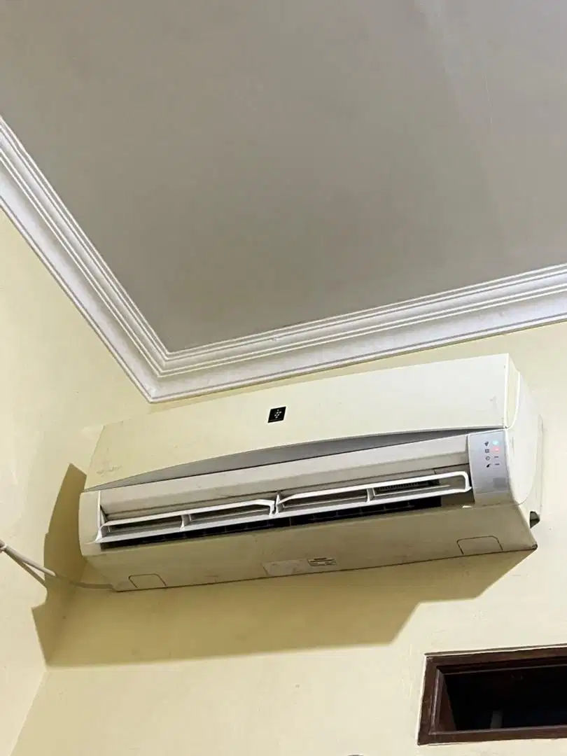 Ac sharp 1/2 pk