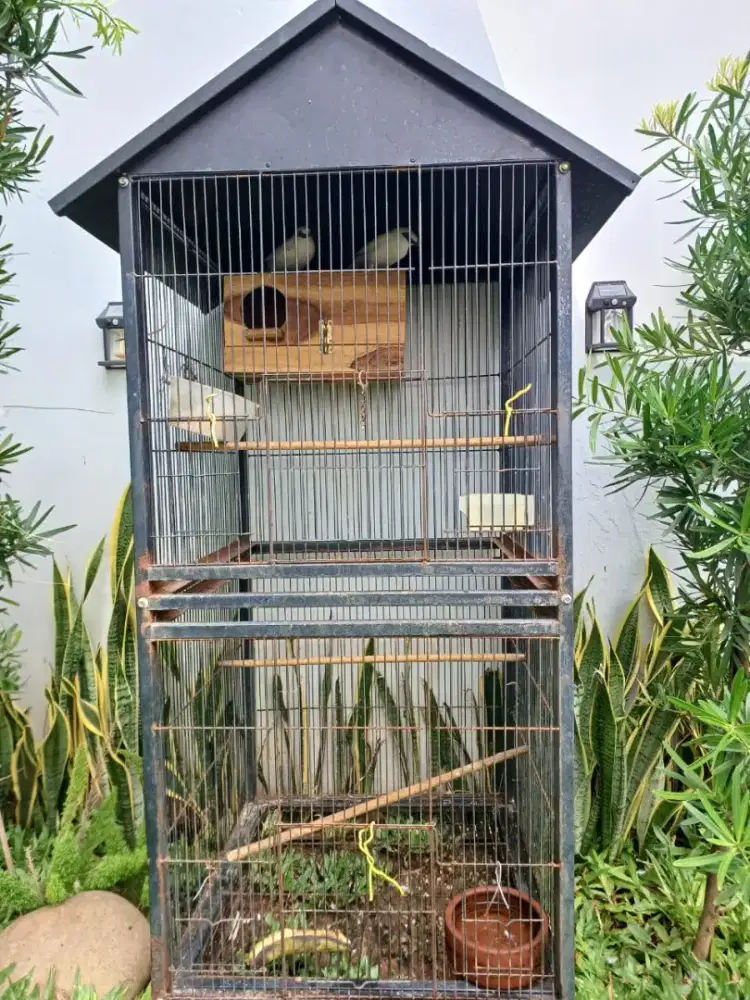 Jual kandang besi besar