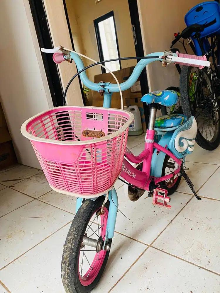 Sepeda anak usia 4-6 tahun