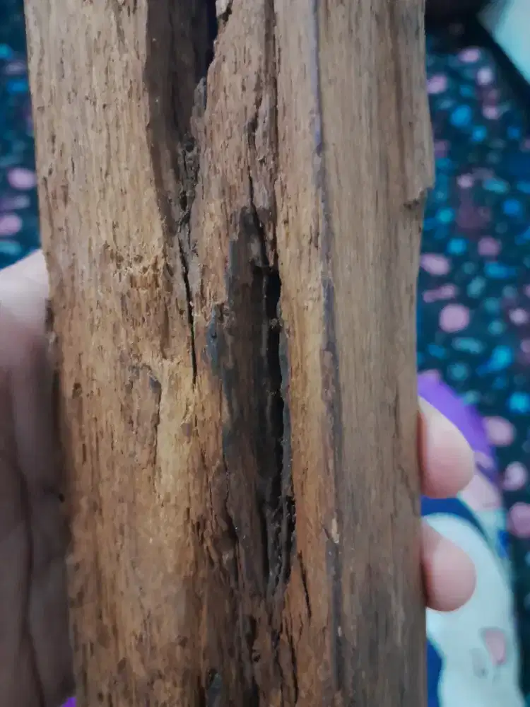 Jual siapa cepat kayu gaharu borongan 4-5 kg masih alami murah aja