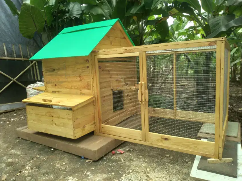 Kandang Ayam Jumbo Premium