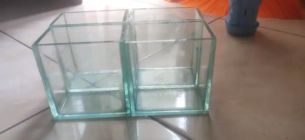 Aquarium arkilik mini