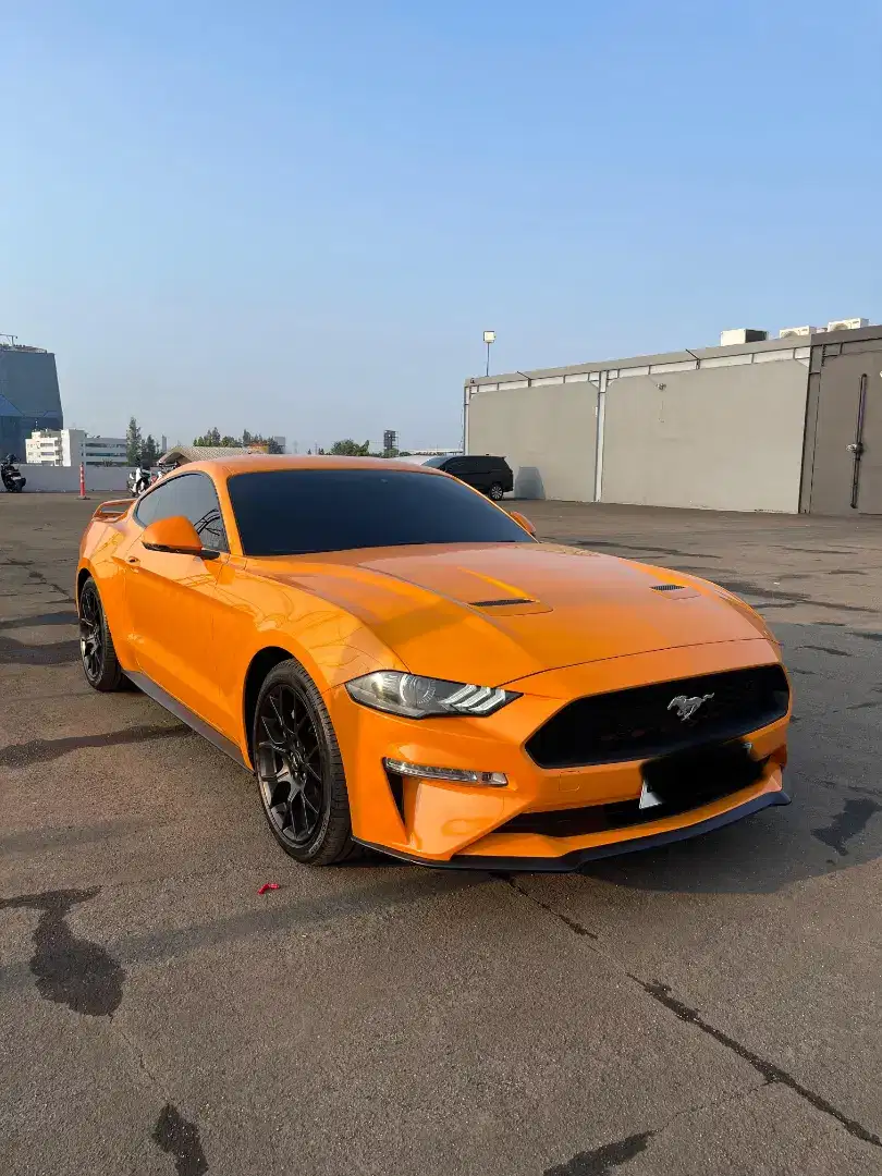 Ford Mustang 2019 Ecobus Orange