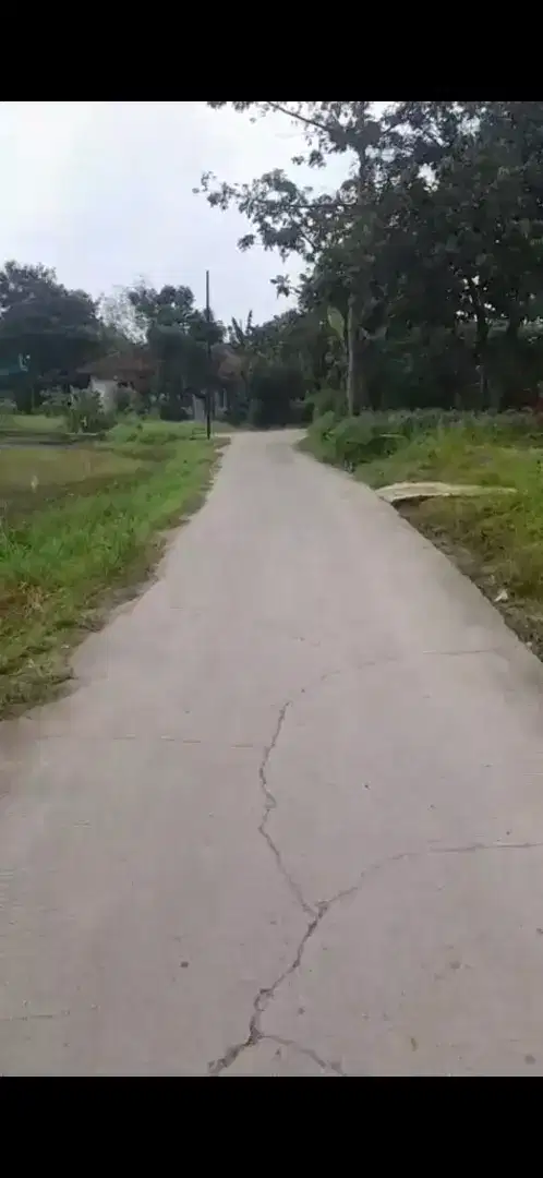 DIJUAL TANAH DARAT DAN KOLAM  GUNUNG SINDUR