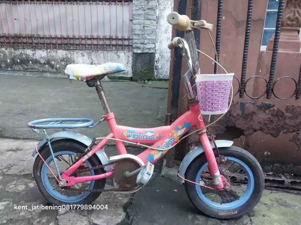 Sepeda anak wimcycle