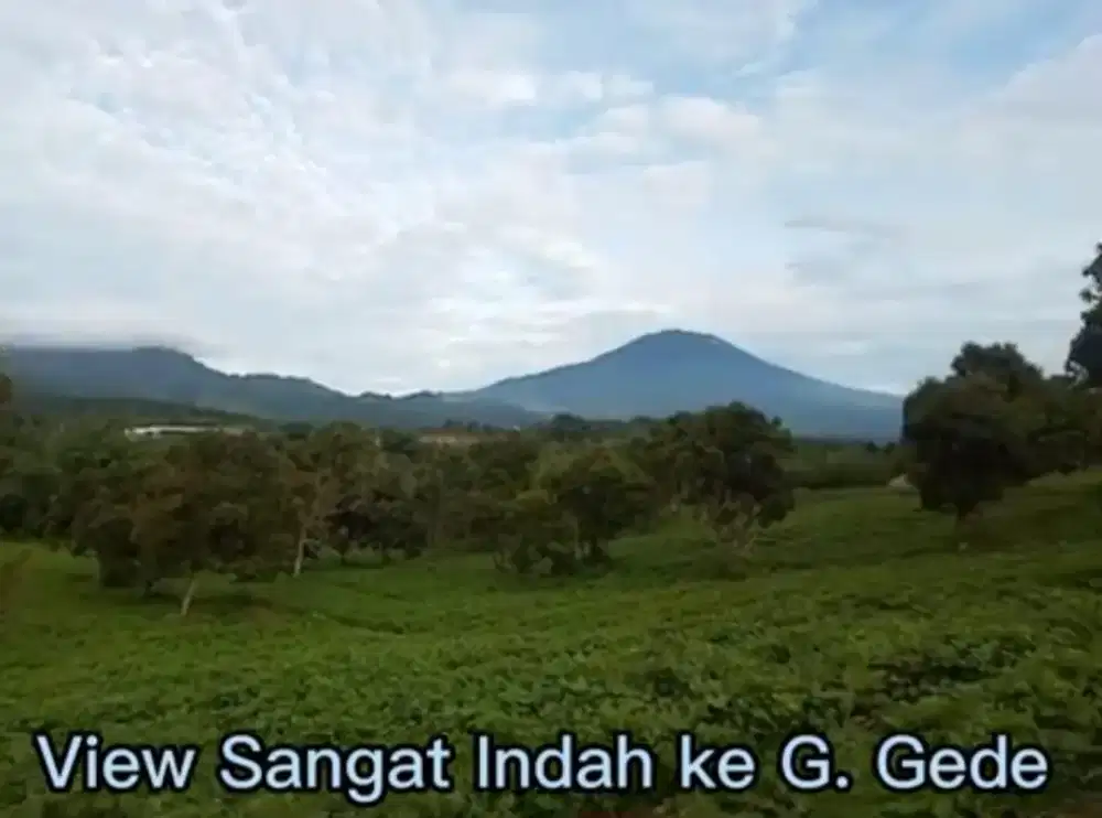 Lokasi di Cianjur warung kondang Dingin View Gunung Buat Argowisata