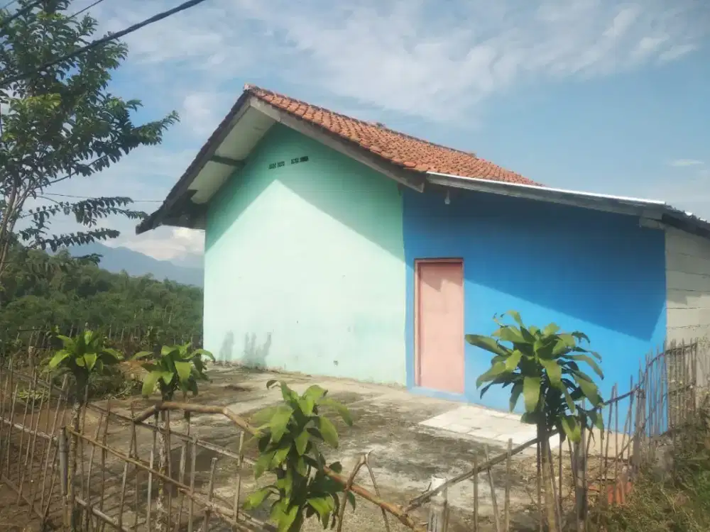 Di Jual / di Kontrakan Rumah