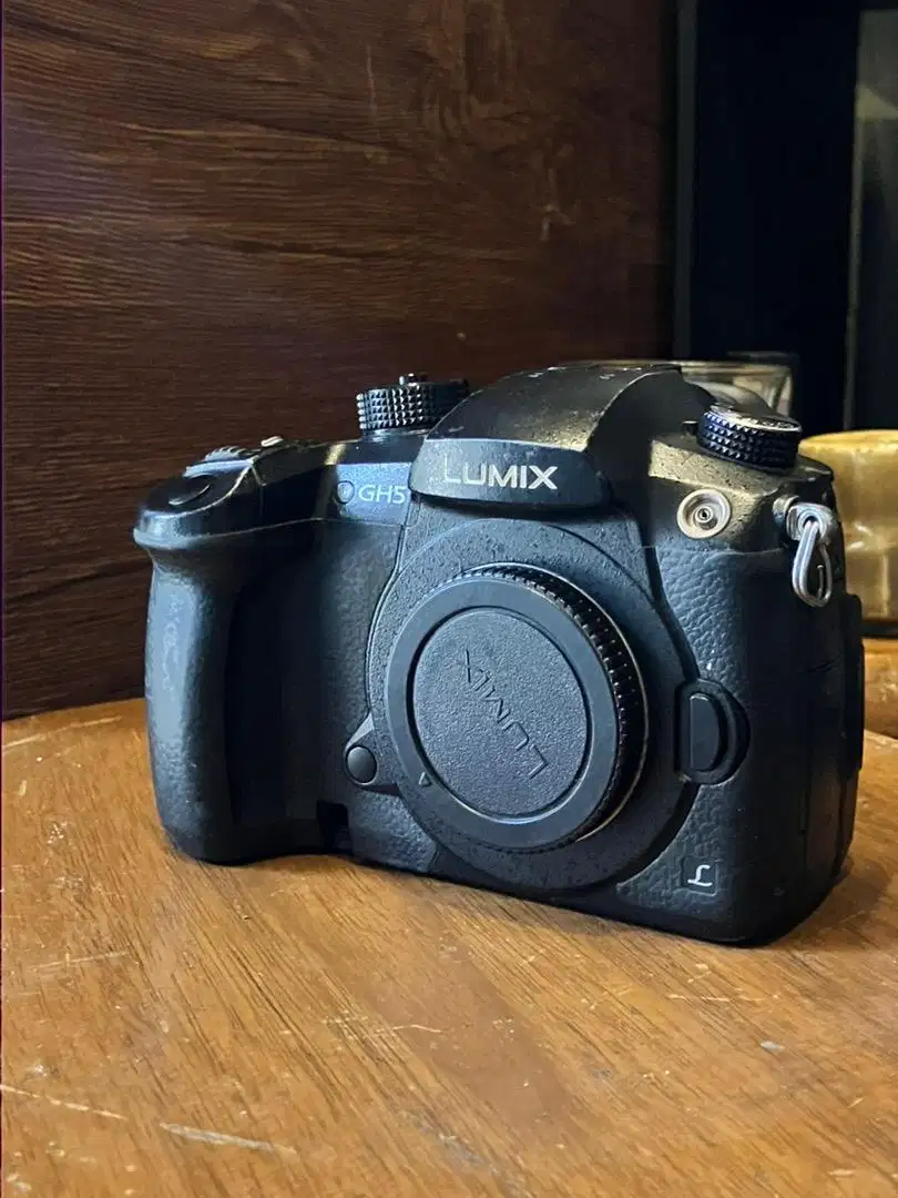 Lumix GH5 mirroless