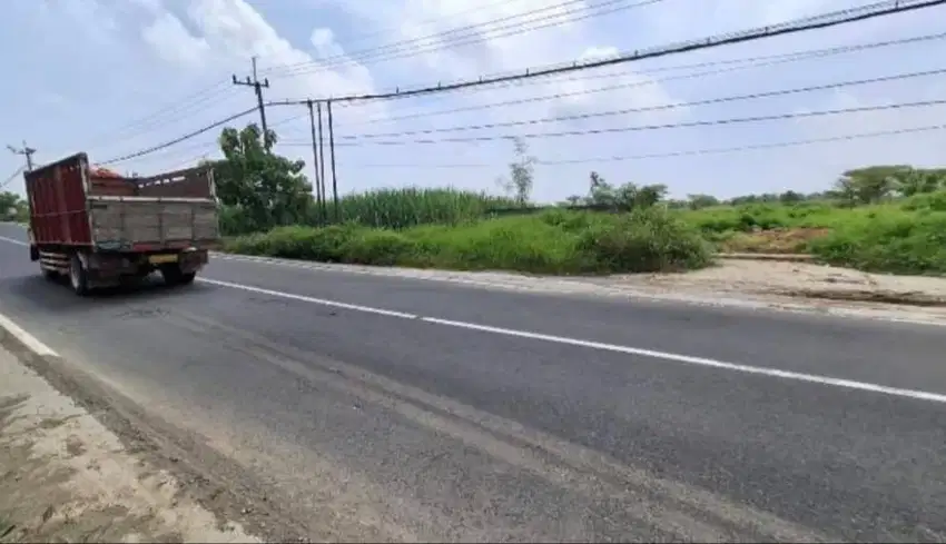 Dijual Tanah Pelang Kembangbahu Lamongan