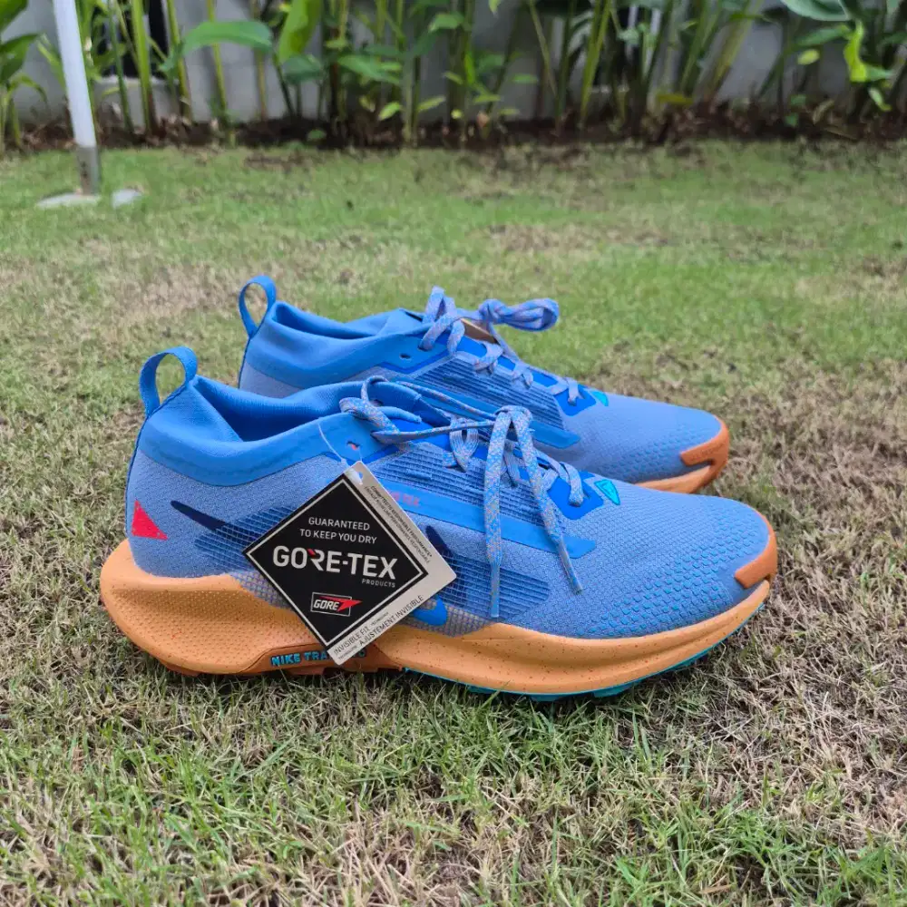 Sepatu lari Nike Trail Pegasus 5 GTX