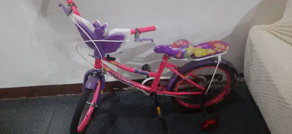 Sepeda anak sepeda roda 4