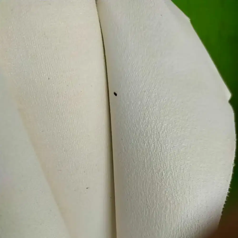 KANVAS SPANRAM MALANG