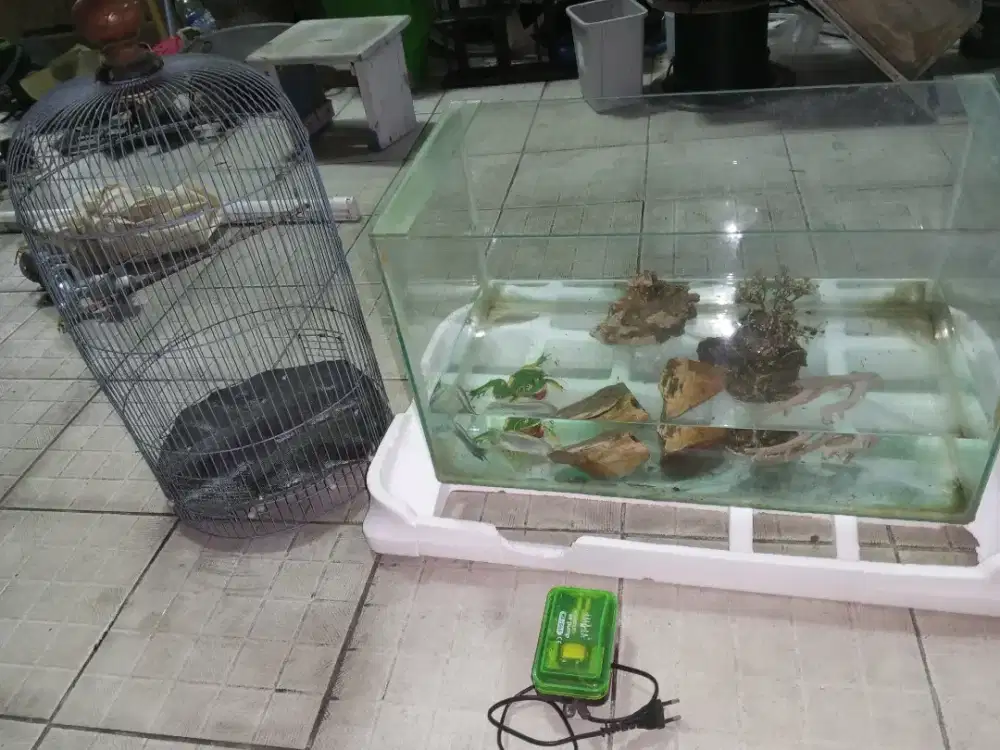 Aquarium 30x60 batu karang aerartor dan  sangkar harga 150rb