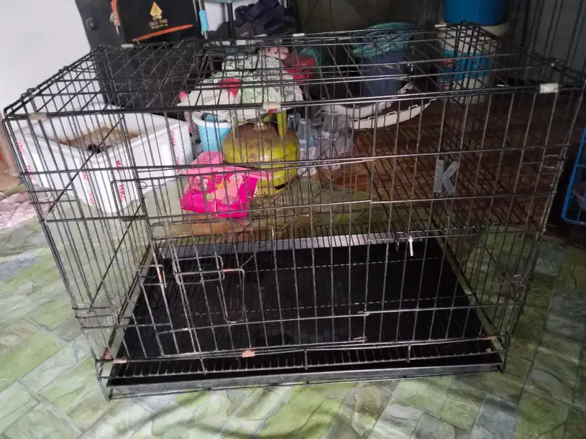 Kandang kucing tingkat 1 ukuran 76