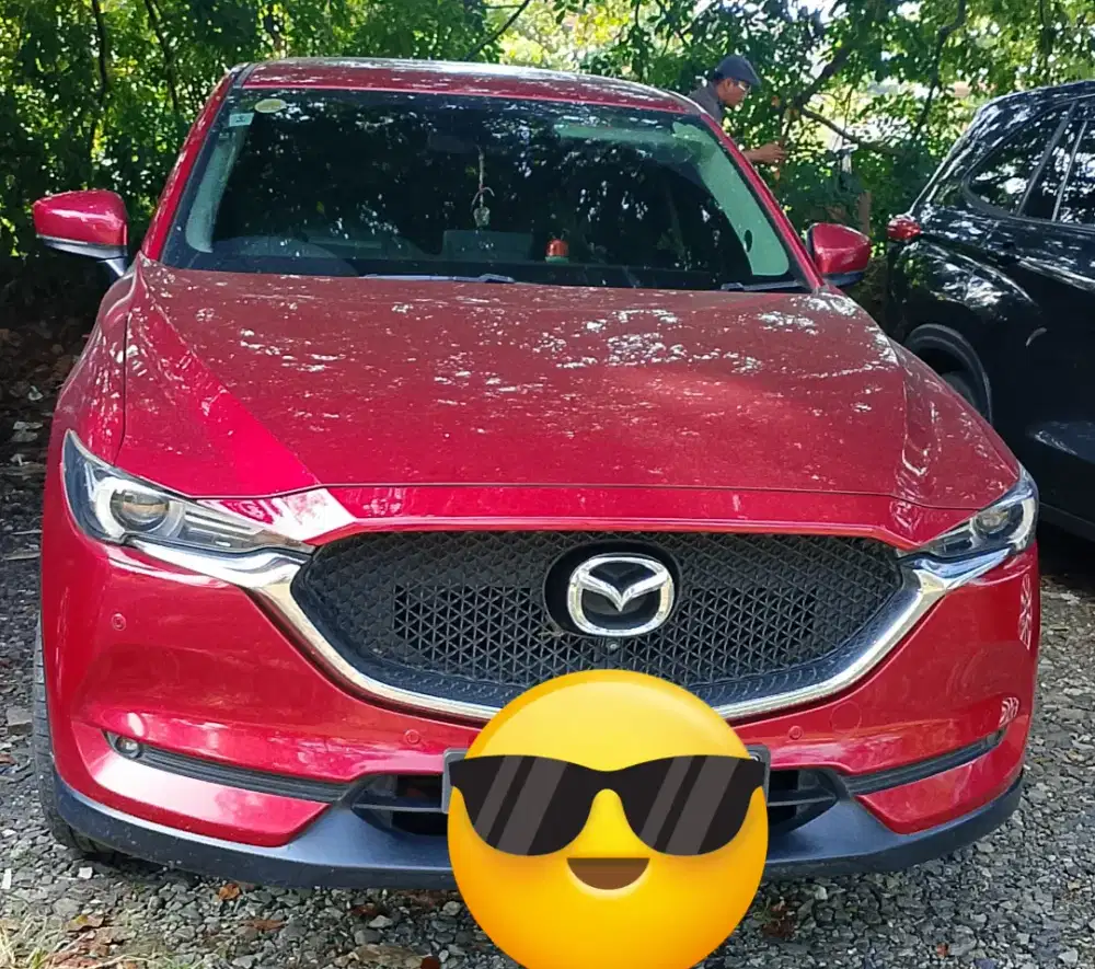 supir pribadi tetap / panggilan amanah