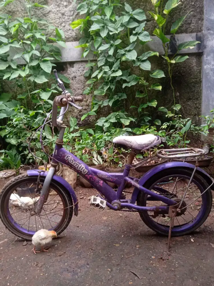 Sepeda Anak Perempuan uk. 16