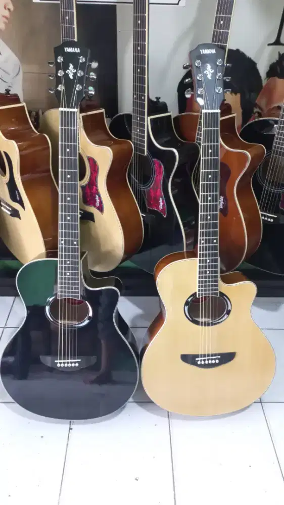 gitar apx akustik