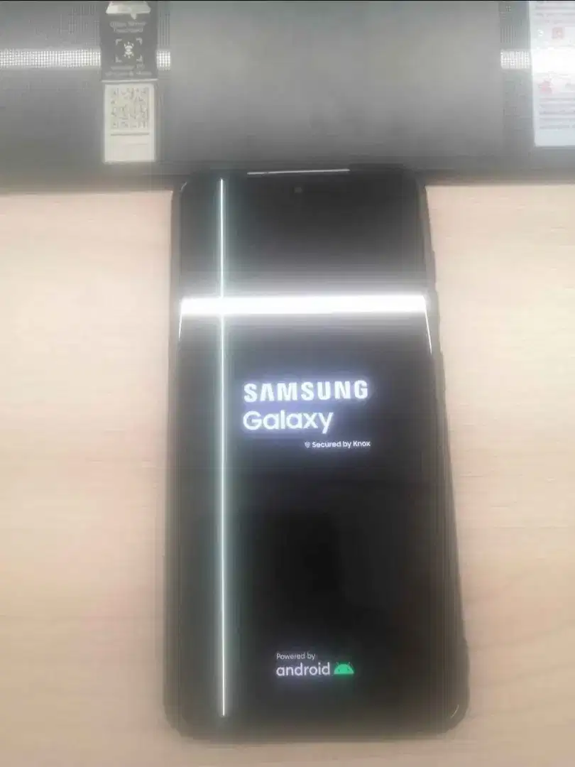 LCD Samsung S21 FE Fullset