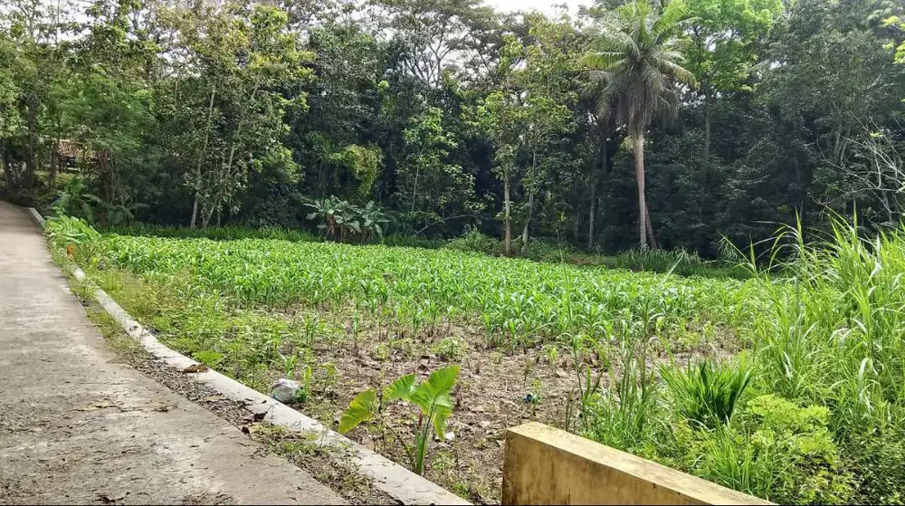 Dijual Tanah Jl Kawasan Industri Kulon Progo  Jogjakarta Jawa Tengah