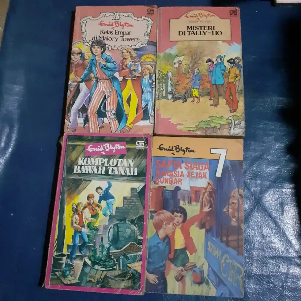 Novel Enid Blyton