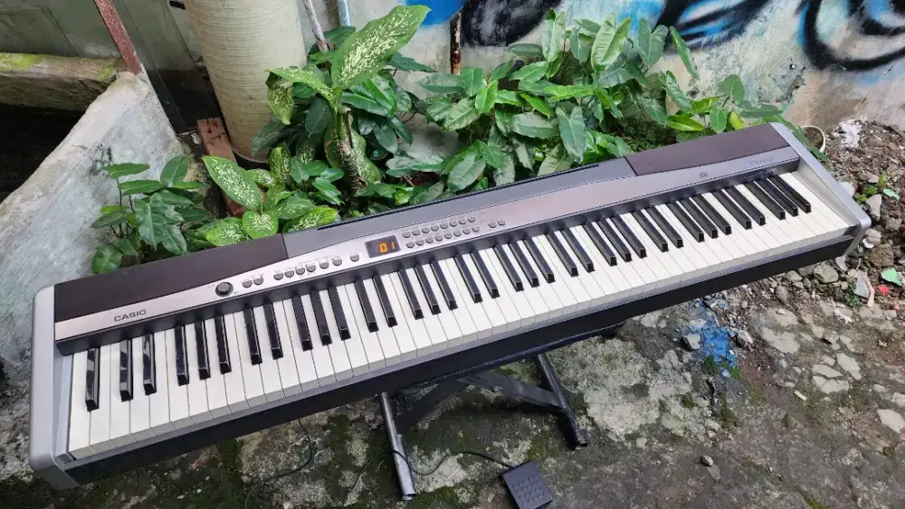 Digital piano px 300