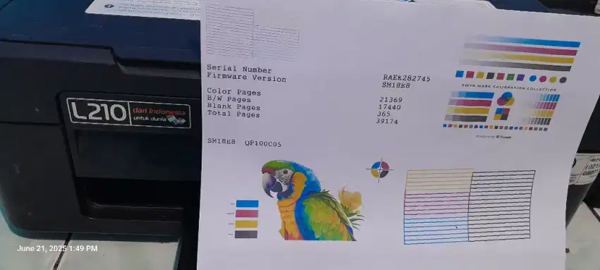 Printer epson scan copy L210