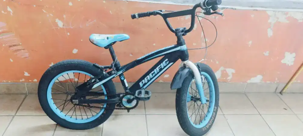 Sepeda pasifik anak laki