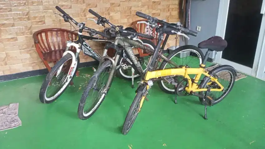 MTB Specialized, MTB Orbea , Selis B to W polygon.