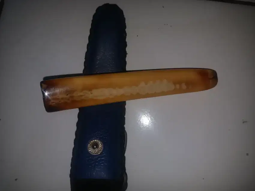 Pipa tardu koleksi