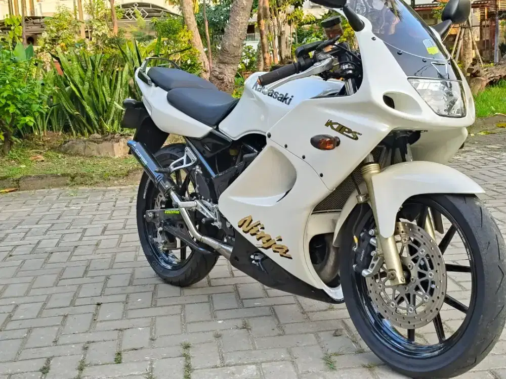 Kawasaki Ninja RR Old 150 White Albino