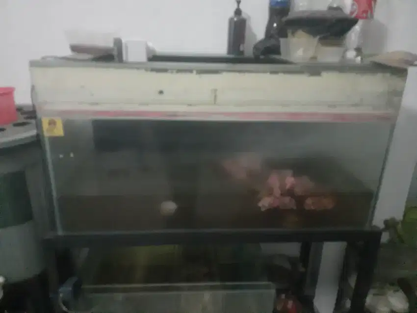 Aquarium dan rak besi