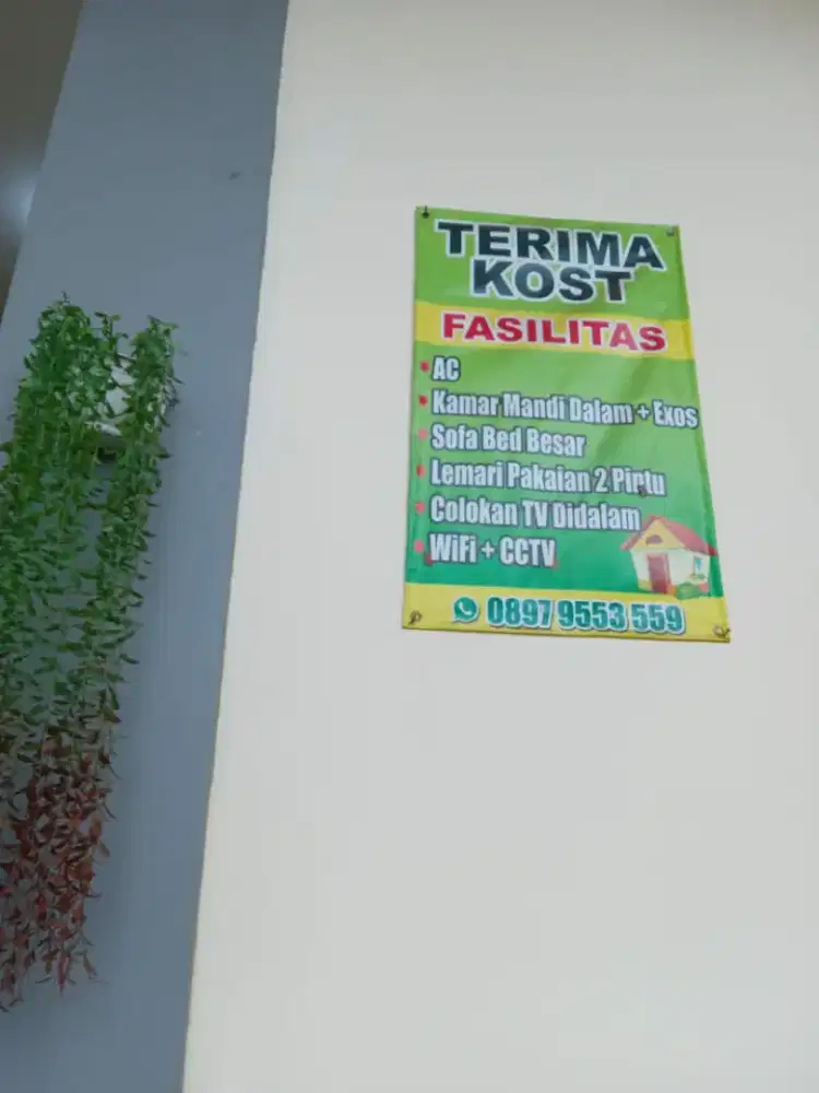 Disewakan kost kostan