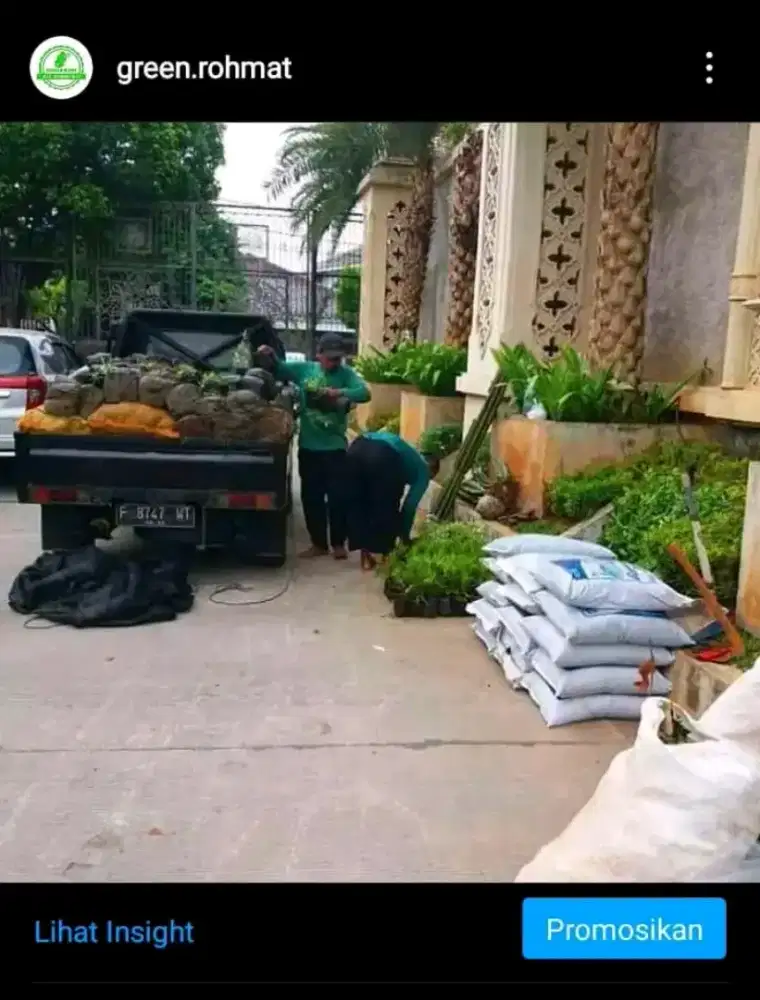 LANDSCAPE Tanaman Hias - JABODETABEK