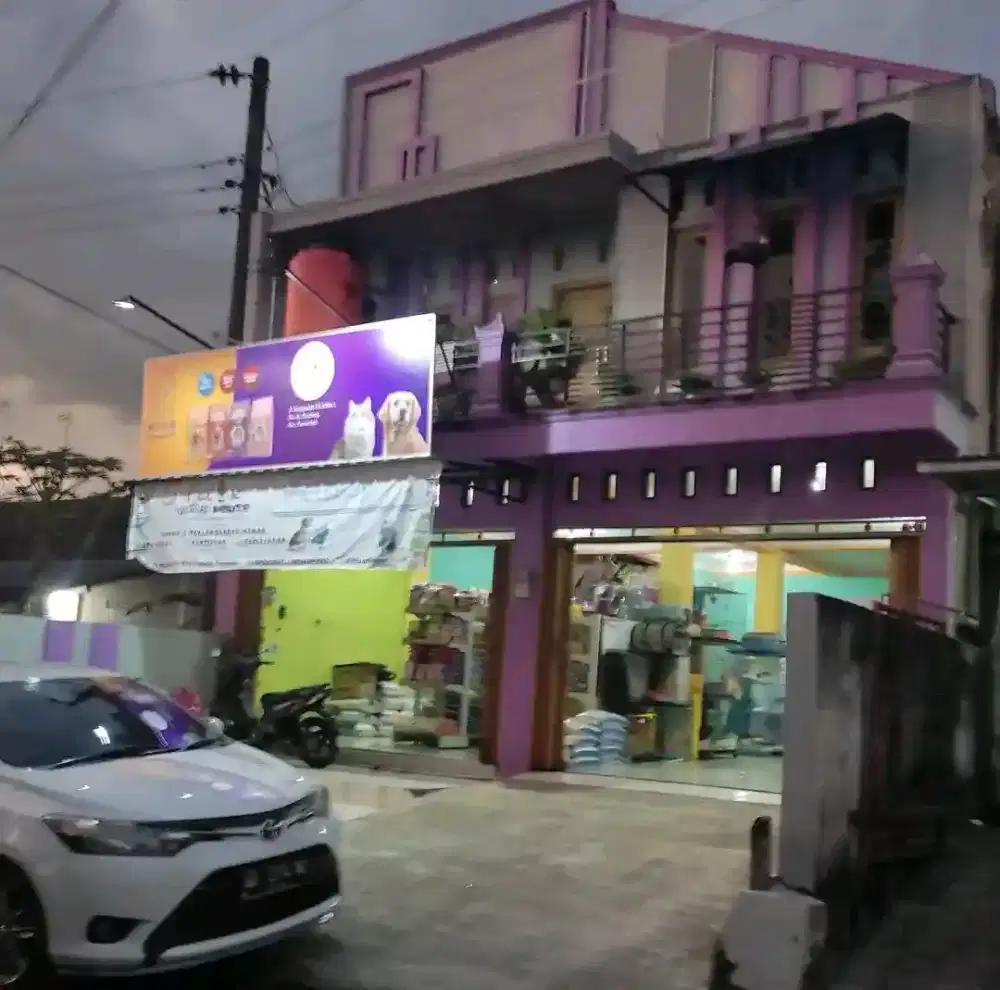 Makanan Kucing di Pet Shop Felix