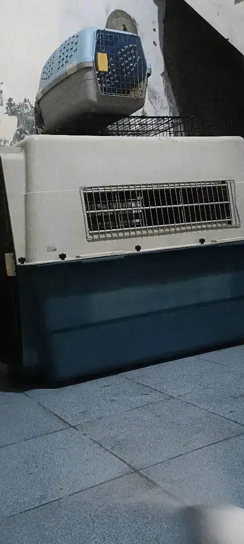 Kennel box pet cargo kandang anjing